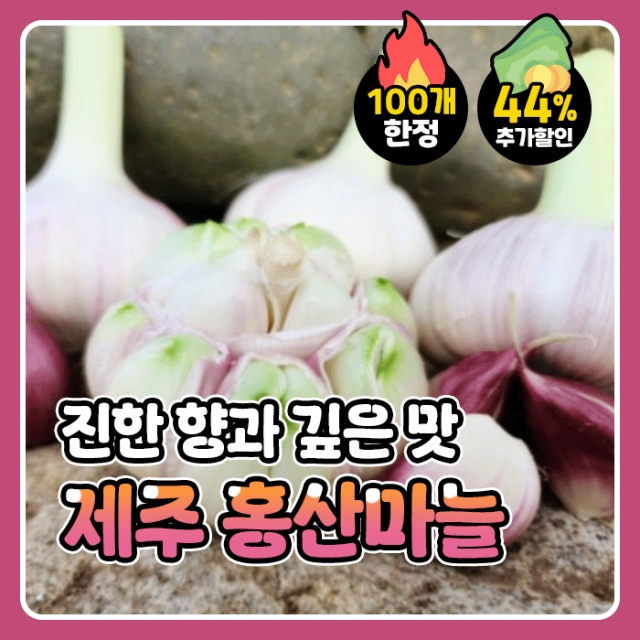 GAP인증 제주산 햇 홍산마늘
