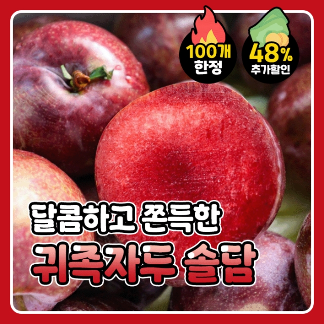 [한정특가] 품질보장 귀족자두 솔담 