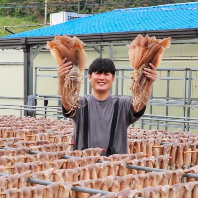 [물가안정특가] 반건조 오징어 10마리 (개별포장)